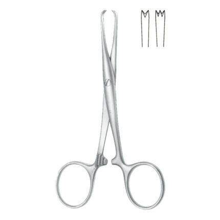 Forceps (According to Chaput, Straight, 2 x 3 Teeth)