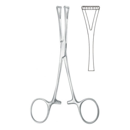 Forceps (According to Collin, Triangled Jaw)